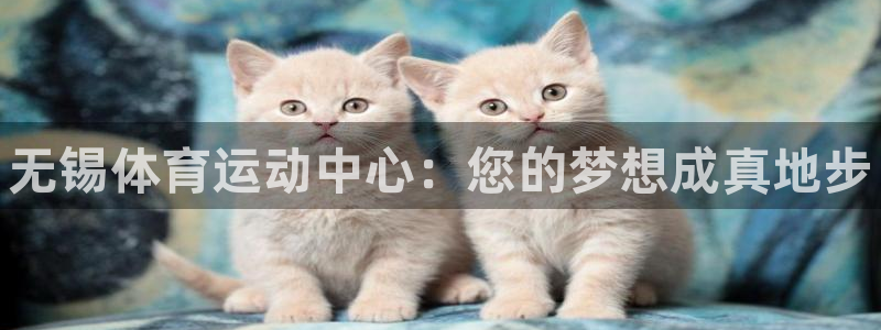 MK体育官方正版app神州：无锡体育运动中心：您的梦想成真地