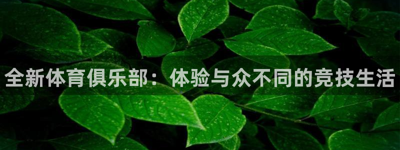 MK体育官网下载平台APP：全新体育俱乐部：体验与众