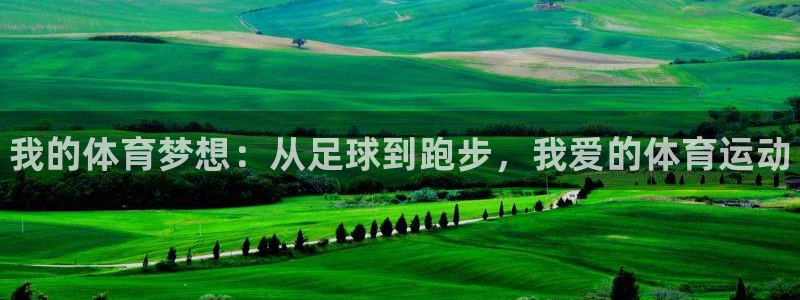 MK体育官网下载平台假的吗是真的吗：我的体育梦想：从足球到跑
