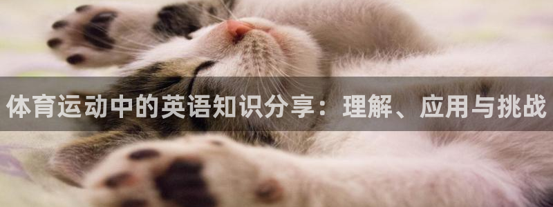 MK体育官网下载娱乐：体育运动中的英语知识分享：理解