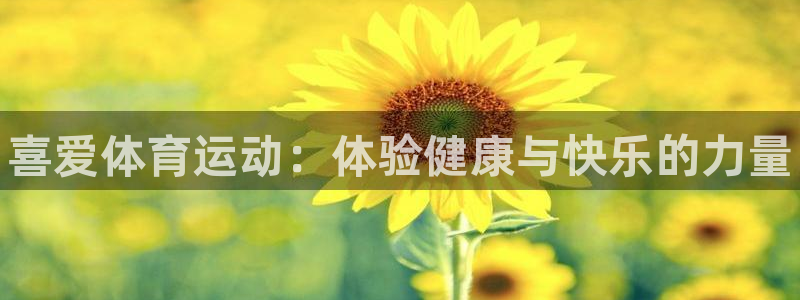 MK体育官方正版app代理：喜爱体育运动：体验健康与