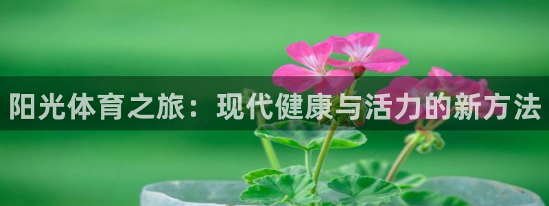 MK体育官网下载招商：阳光体育之旅：现代健康与活力的