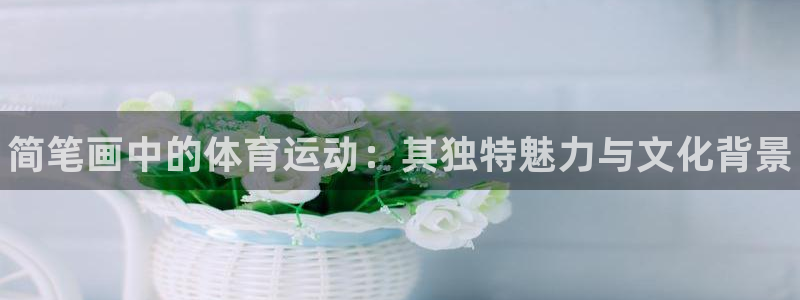 MK体育官方正版app代理：简笔画中的体育运动：其独