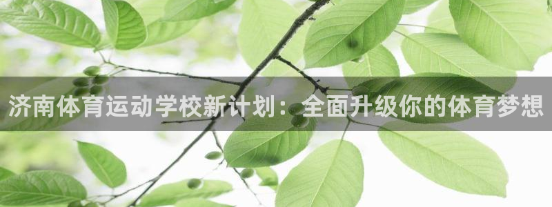MK体育官方正版app开户：济南体育运动学校新计划：全面升级