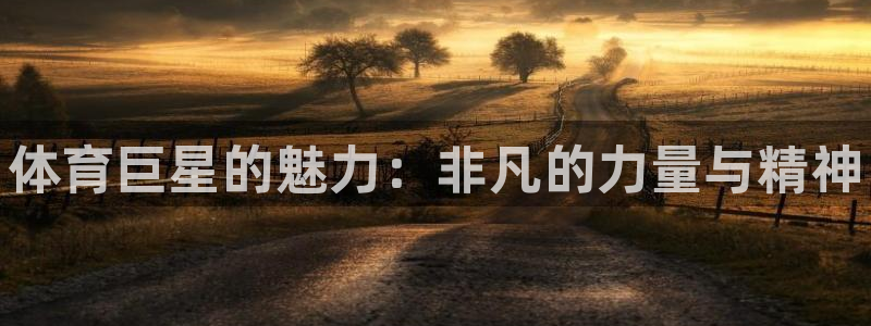 MK体育官网下载招商电话号码查询：体育巨星的魅力：非
