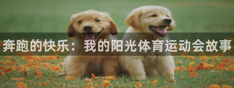MK体育官网下载联系电话：奔跑的快乐：我的阳光体育运动会故事
