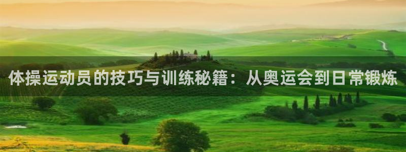 MK体育官方正版app集团简介：体操运动员的技巧与训练秘籍：