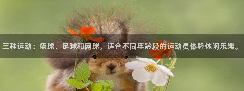 MK体育官网下载开户：三种运动：篮球、足球和网球，适