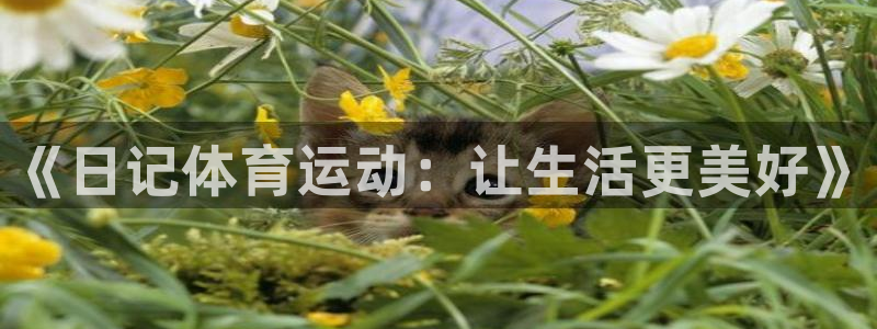 MK体育官网下载平台：《日记体育运动：让生活更美好》
