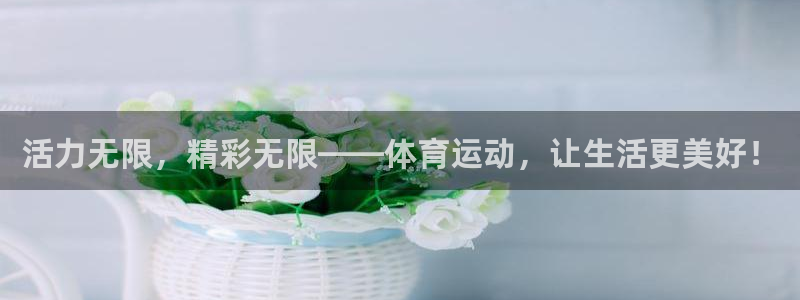 MK体育官方正版app娱乐是那个系列的台子：活力无限