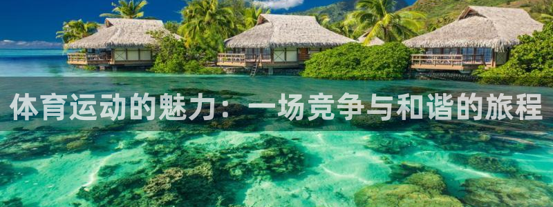 MK体育官方正版app集团：体育运动的魅力：一场竞争