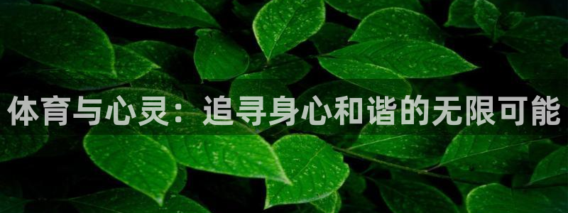 海南MK体育官网下载：体育与心灵：追寻身心和谐的无限可能