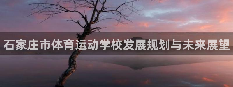 MK体育官方正版app娱乐是那个系列的台子：石家庄市