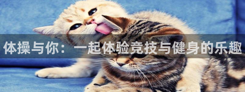 MK体育官网下载招商：体操与你：一起体验竞技与健身的乐趣