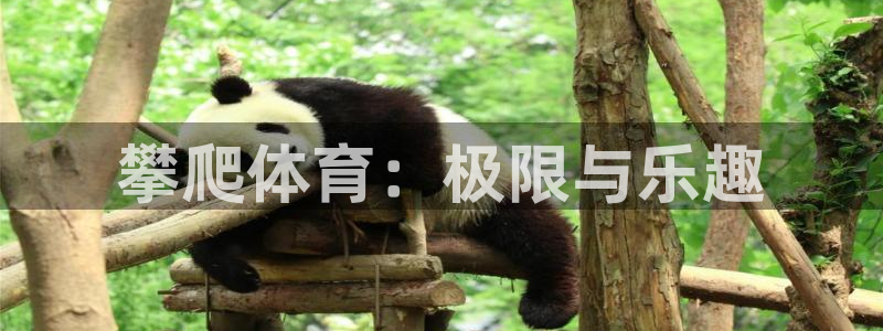 MK体育官方正版app集团官网首页网址：攀爬体育：极限与乐趣