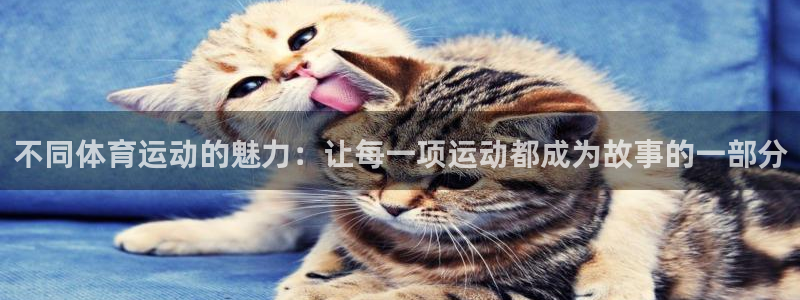 MK体育官网下载招商电话地址：不同体育运动的魅力：让每一项运