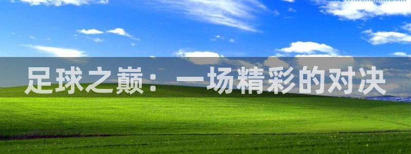 MK体育官方正版app集团简介：足球之巅：一场精彩的对决