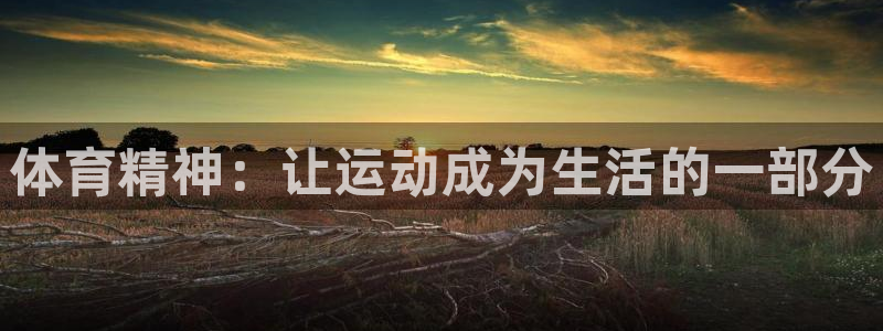 MK体育官方正版app代理：体育精神：让运动成为生活的一部分
