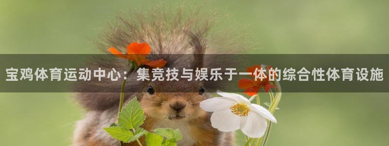 MK体育官网下载注册：宝鸡体育运动中心：集竞技与娱乐于一体的