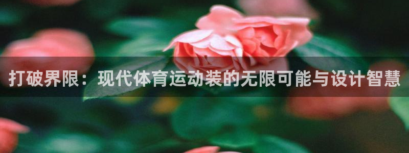 MK体育官方正版app娱乐代理怎么样：打破界限：现代体育运动