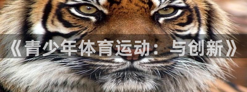 MK体育官方正版app集团官网首页网址