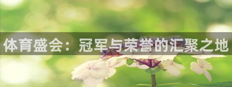 MK体育官方正版app科技：体育盛会：冠军与荣誉的汇聚之地